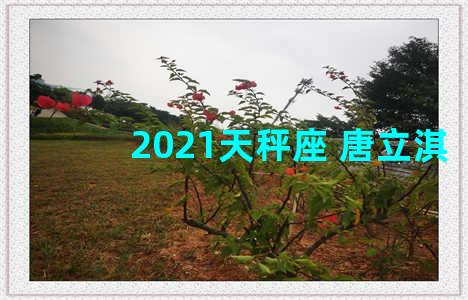 2021天秤座 唐立淇